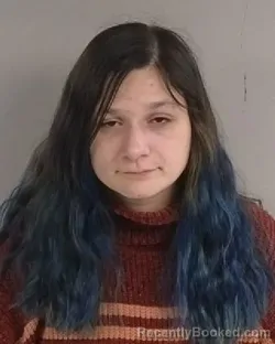 Mugshot of Anjelica Desiree Alcala booked in Jackson County, Michigan on May 20, 2026