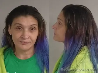 Mugshot of Ashley Anne Pitcher booked in Jackson County, Michigan on June 10, 2026