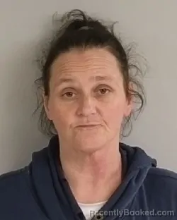 Mugshot of Sandy Ann Wilcher booked in Jackson County, Michigan on July 1, 2026