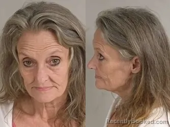 Mugshot of Tracy Ann Tanier booked in Jackson County, Michigan on July 17, 2026