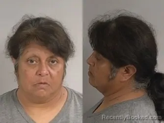 Mugshot of BONITA RAMIREZ AMLEY booked in Jackson County, Michigan on July 20, 2026