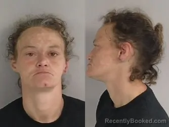Mugshot of Meagan Nicole Large booked in Jackson County, Michigan on July 20, 2026