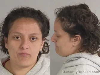 Mugshot of Christy Ann Pollo booked in Jackson County, Michigan on July 21, 2026