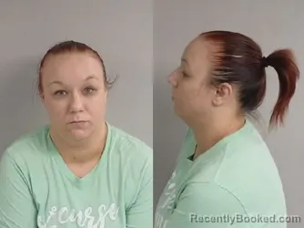 Mugshot of Megan Lee Smith booked in Jackson County, Michigan on July 25, 2026