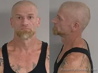 Mugshot of Todd Edward Hodges booked in Jackson County, Michigan on July 29, 2026