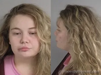 Mugshot of Sydney Lauren Kellogg booked in Jackson County, Michigan on August 19, 2026