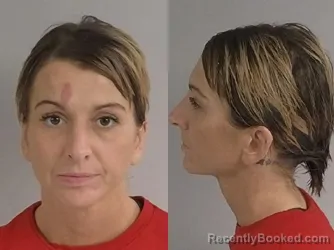Mugshot of Kathreen Alyse Herl booked in Jackson County, Michigan on August 29, 2026
