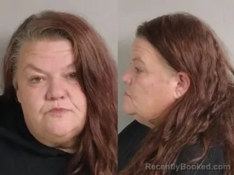 Mugshot of Toni Dell Mcnish booked in Jackson County, Michigan on September 4, 2026