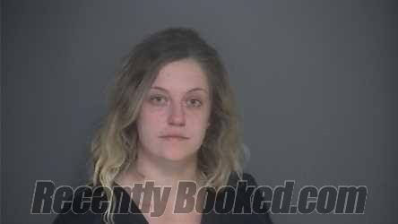 Booking photo from Lapeer County, Michigan
