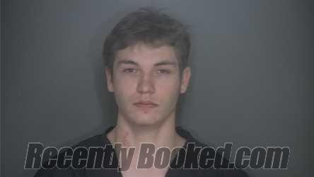 Booking photo from Lapeer County, Michigan