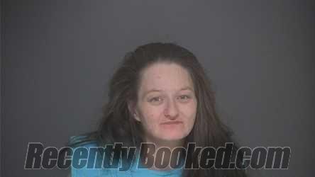 Booking photo from Lapeer County, Michigan