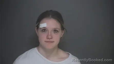 Booking photo from Lapeer County, Michigan