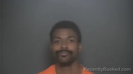 Booking photo from Lapeer County, Michigan