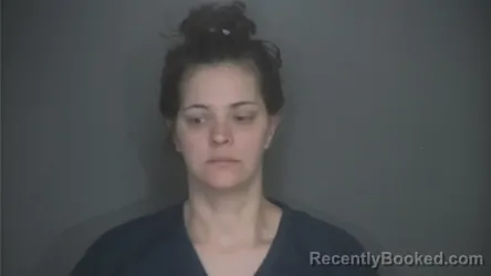 Booking photo from Lapeer County, Michigan