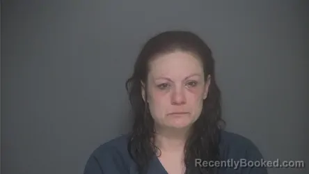 Booking photo from Lapeer County, Michigan