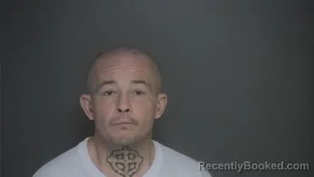 Booking photo from Lapeer County, Michigan