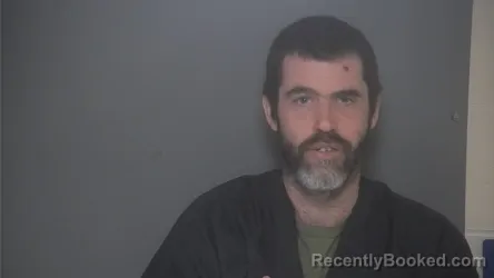 Mugshot of CHAD LAIDLER