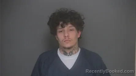 Mugshot of JARRED COLLINS