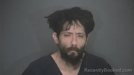 Mugshot of NICHOLAS MOON