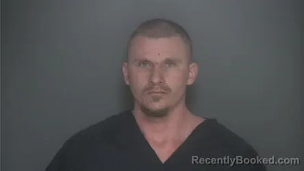 Mugshot of TROY WILLIN