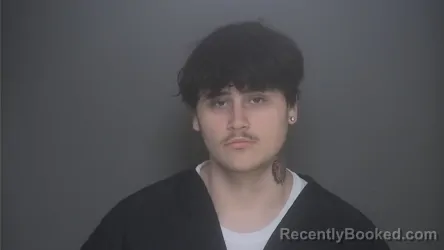 Mugshot of DYLAN BLACKMER booked in Lapeer County, Michigan on March 26, 2026