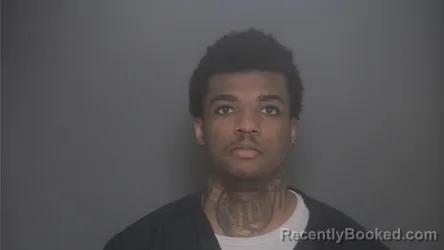 Mugshot of RAE SPIVEY booked in Lapeer County, Michigan on March 26, 2026