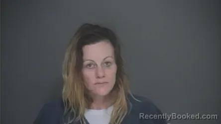 Mugshot of KARI HUNT booked in Lapeer County, Michigan on March 29, 2026