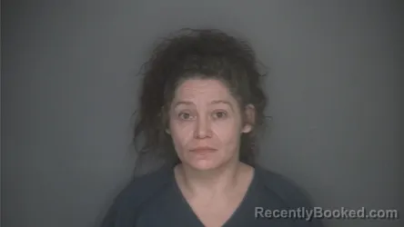 Mugshot of ANGEL MILLIKAN booked in Lapeer County, Michigan on March 31, 2026