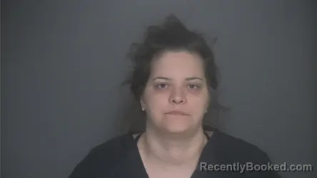 Mugshot of CAITLYN WHITEHEAD booked in Lapeer County, Michigan on April 20, 2026