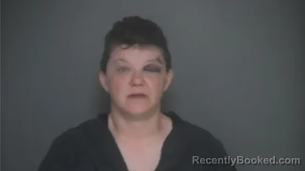 Mugshot of KRYSTAL PHILLIPS booked in Lapeer County, Michigan on April 24, 2026