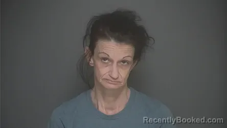 Mugshot of DEANNA STRUNK booked in Lapeer County, Michigan on April 26, 2026