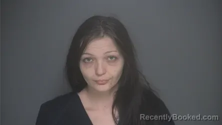 Mugshot of MARANDA COLGAN booked in Lapeer County, Michigan on May 3, 2026