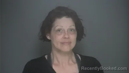 Mugshot of HEATHER SELZER booked in Lapeer County, Michigan on May 10, 2026