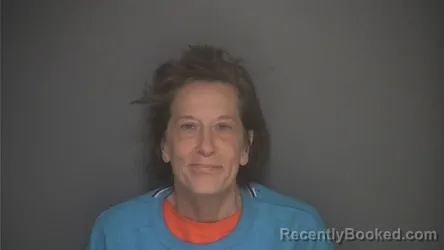 Mugshot of SHEILA GOW booked in Lapeer County, Michigan on June 1, 2026
