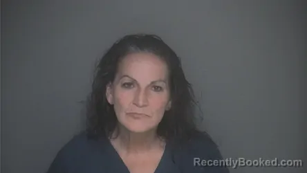 Mugshot of JACQUELINE AVOURIS booked in Lapeer County, Michigan on June 4, 2026