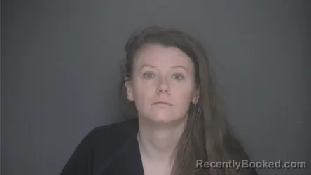 Mugshot of RACHEL DAWSON booked in Lapeer County, Michigan on June 22, 2026
