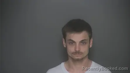 Mugshot of BRIAN JR DIX booked in Lapeer County, Michigan on July 29, 2026