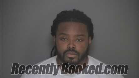 Booking photo from Lapeer County, Michigan