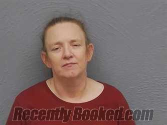 Booking photo from Mackinac County, Michigan