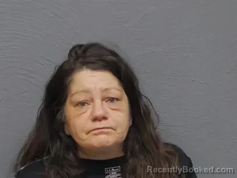 Mugshot of KRISTINE ANNE JARDEE booked in Mackinac County, Michigan on May 27, 2026