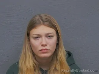 Booking photo from Mackinac County, Michigan