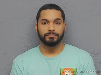 Mugshot of DENNIS MICHAEL HUBBS