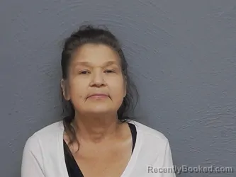Mugshot of AMY FAYE THOMAS booked in Mackinac County, Michigan on June 1, 2026