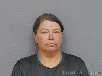 Mugshot of TINA IRENE BARANEK booked in Mackinac County, Michigan on June 16, 2026