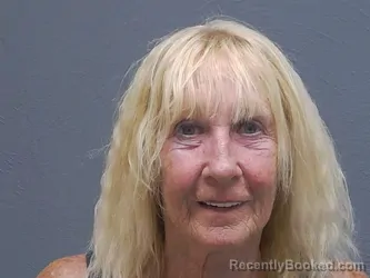 Mugshot of LUANN RAE DAWSON booked in Mackinac County, Michigan on July 2, 2026