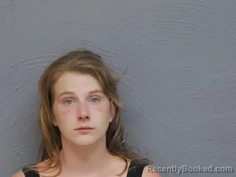Mugshot of MEGAN LYNNE TAYLOR booked in Mackinac County, Michigan on July 3, 2026