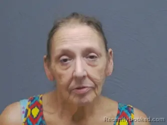 Mugshot of JEAN ANN COCHRANE-RIOS booked in Mackinac County, Michigan on July 29, 2026
