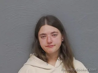 Mugshot of Tessa Kae Townley booked in Mackinac County, Michigan on August 14, 2026