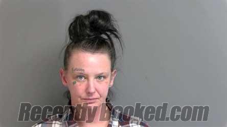 Booking photo from Macomb County, Michigan