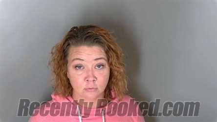 Booking photo from Macomb County, Michigan